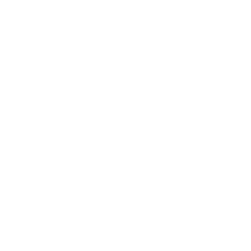 Light Writerz logo